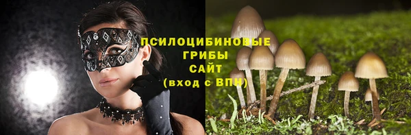 гашик Нея
