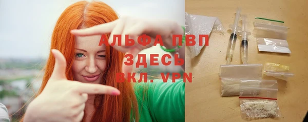 гашик Кизел
