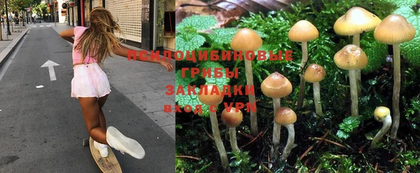 гашик Нея