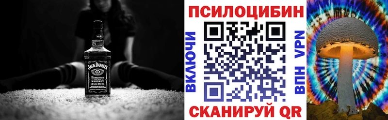Галлюциногенные грибы Psilocybine cubensis  Ликино-Дулёво 